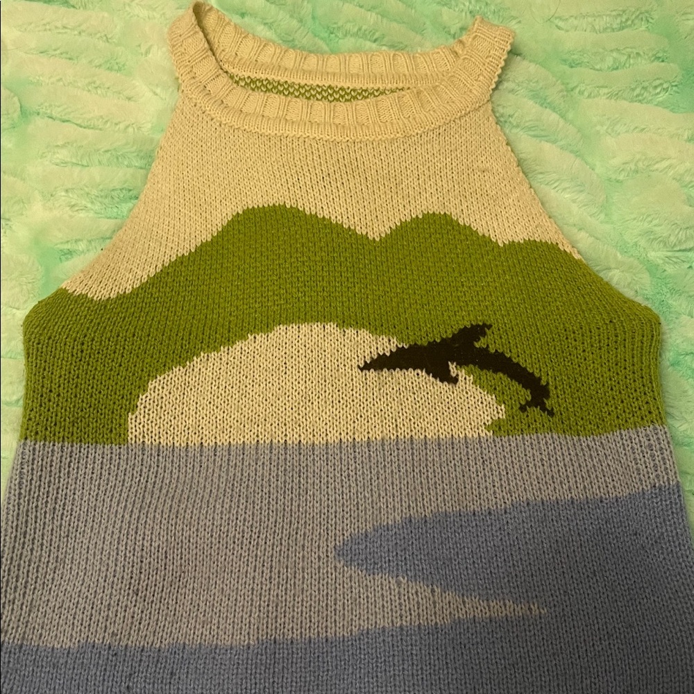 Knit Crop Top (House of Sunny Dupe)